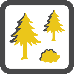 Vegetation Management